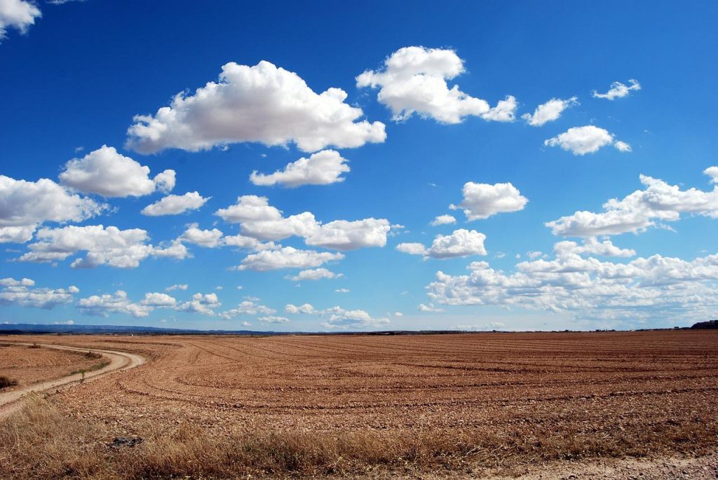 chmury cumulus